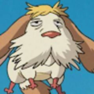 Meet your Posher, Zoe harvitt